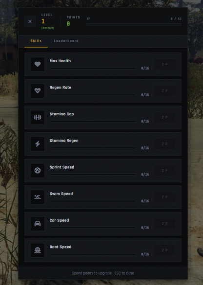 Skill System – Progression, Titles & Leaderboard