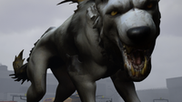 Spirit Wolf